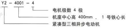 YR系列(H355-1000)高壓三相異步電機(jī)西安西瑪電機(jī)型號(hào)說明