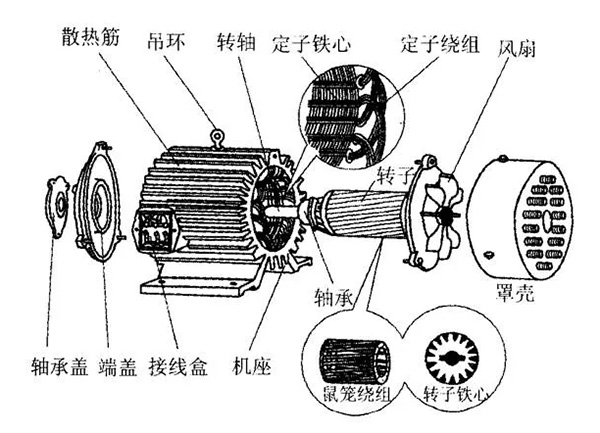 三相異步電動(dòng)機(jī)的六種分類方法及具體分類。